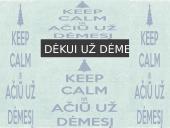 Renesanso laikų mokslininkai 17 puslapis