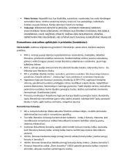 Teorija apie Romantizmą 2 puslapis