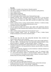 Teorija apie Romantizmą 11 puslapis