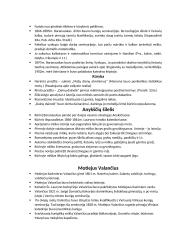 Teorija apie Romantizmą 8 puslapis