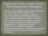 Žygimantas Senasis ir Bona Sforza 14 puslapis