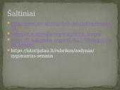 Žygimantas Senasis ir Bona Sforza 16 puslapis