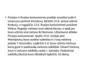 Žymiausios kautynės, ginkluotė 1794 m. sukilime 4 puslapis