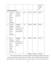 Neįgaliųjų integracija Lietuvoje 10 puslapis