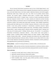 Nuomonės formuotojo (angl. influencer) komunikacija socialiniame tinkle 5 puslapis