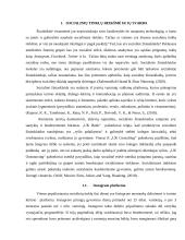 Nuomonės formuotojo (angl. influencer) komunikacija socialiniame tinkle 7 puslapis