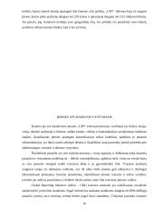 „Ups“ organizacijos identiteto ir informacijos sklaidos analizė atsakomybės kontekste  15 puslapis