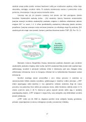 „Ups“ organizacijos identiteto ir informacijos sklaidos analizė atsakomybės kontekste  16 puslapis