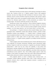 Paauglio psichologija ir moralė 2 puslapis
