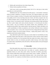 Kūno sociologija 7 puslapis