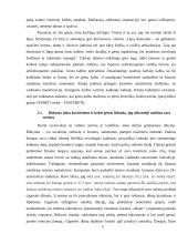 Kūno sociologija 8 puslapis