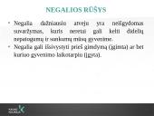 Neįgaliųjų integracija Lietuvoje skaidrės 9 puslapis