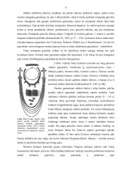 Sidabras viduriniajame geležies amžiuje 11 puslapis