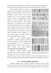 Sidabras viduriniajame geležies amžiuje 13 puslapis