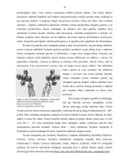 Sidabras viduriniajame geležies amžiuje 14 puslapis