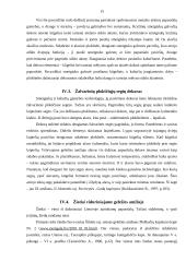 Sidabras viduriniajame geležies amžiuje 15 puslapis