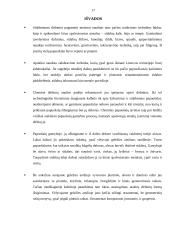 Sidabras viduriniajame geležies amžiuje 17 puslapis