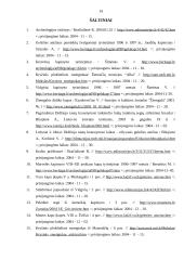 Sidabras viduriniajame geležies amžiuje 19 puslapis