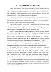 Sidabras viduriniajame geležies amžiuje 4 puslapis