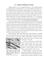 Sidabras viduriniajame geležies amžiuje 5 puslapis