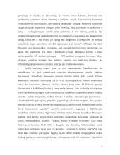 Renesanso epochos kultūros bruožai 7 puslapis