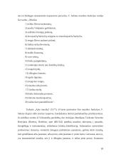 Renesanso epochos kultūros bruožai 10 puslapis