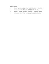 Seneka "Laiškai Lucilijui" - teksto analizė 6 puslapis