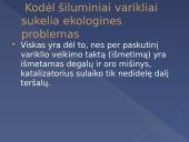 Šiluminių variklių sukeliamos ekologinės problemos 3 puslapis