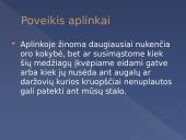 Šiluminių variklių sukeliamos ekologinės problemos 5 puslapis