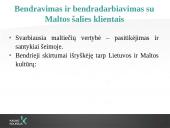 Verslo vykdymo Maltoje ypatumai 11 puslapis