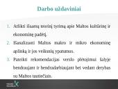 Verslo vykdymo Maltoje ypatumai 3 puslapis