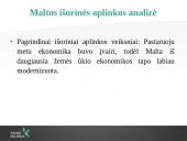 Verslo vykdymo Maltoje ypatumai 7 puslapis