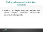 Verslo vykdymo Maltoje ypatumai 9 puslapis