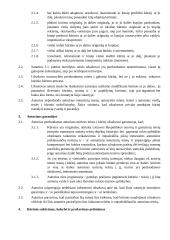 Autorinė kūrinio užsakymo sutartis 2 puslapis