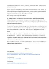 ,,Uodega vizgina šunį“ recenzija 4 puslapis