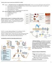 Angliavandenių konspektas 2 puslapis
