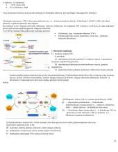 Angliavandenių konspektas 12 puslapis