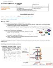 Angliavandenių konspektas 13 puslapis