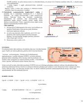 Angliavandenių konspektas 14 puslapis