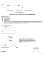 Angliavandenių konspektas 15 puslapis