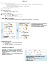 Angliavandenių konspektas 4 puslapis