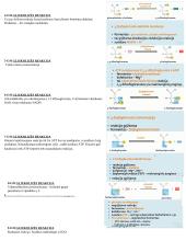 Angliavandenių konspektas 6 puslapis