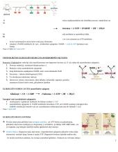 Angliavandenių konspektas 7 puslapis