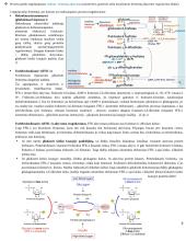 Angliavandenių konspektas 8 puslapis