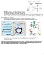 Angliavandenių konspektas 9 puslapis