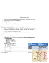 Angliavandenių konspektas 10 puslapis