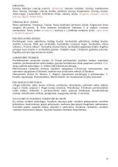 Psichologijos konspektas 13 puslapis