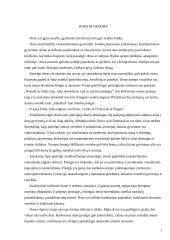 „Dora ir nedora“ - filosofijos refleksija 2 puslapis