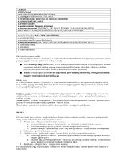 Informacija apie raumenis 2 puslapis