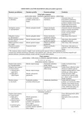 Raumenų lentelė 13 puslapis